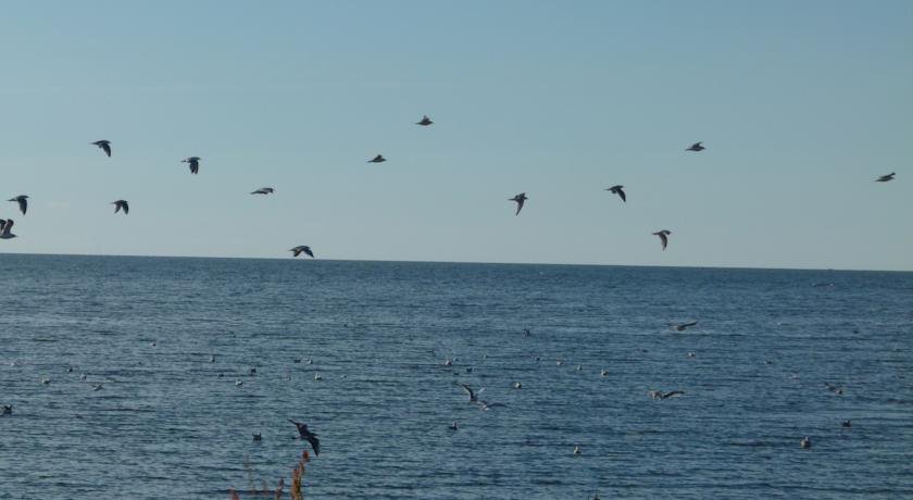 Гостиница Ustje Beach Resort Country Club Гдов-26